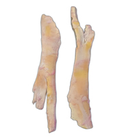 NECK BAND OR PADDY WHACK